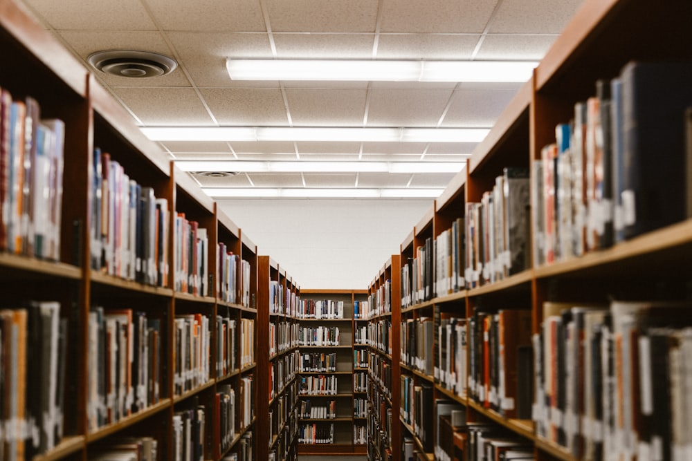 伊利诺伊大学香槟分校校园案例